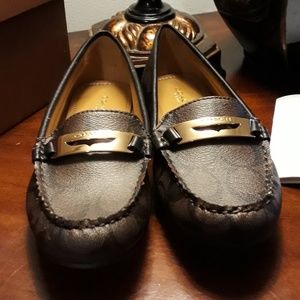 COACH Brown Driver Shoe Flat Olympia sz 5 NEW